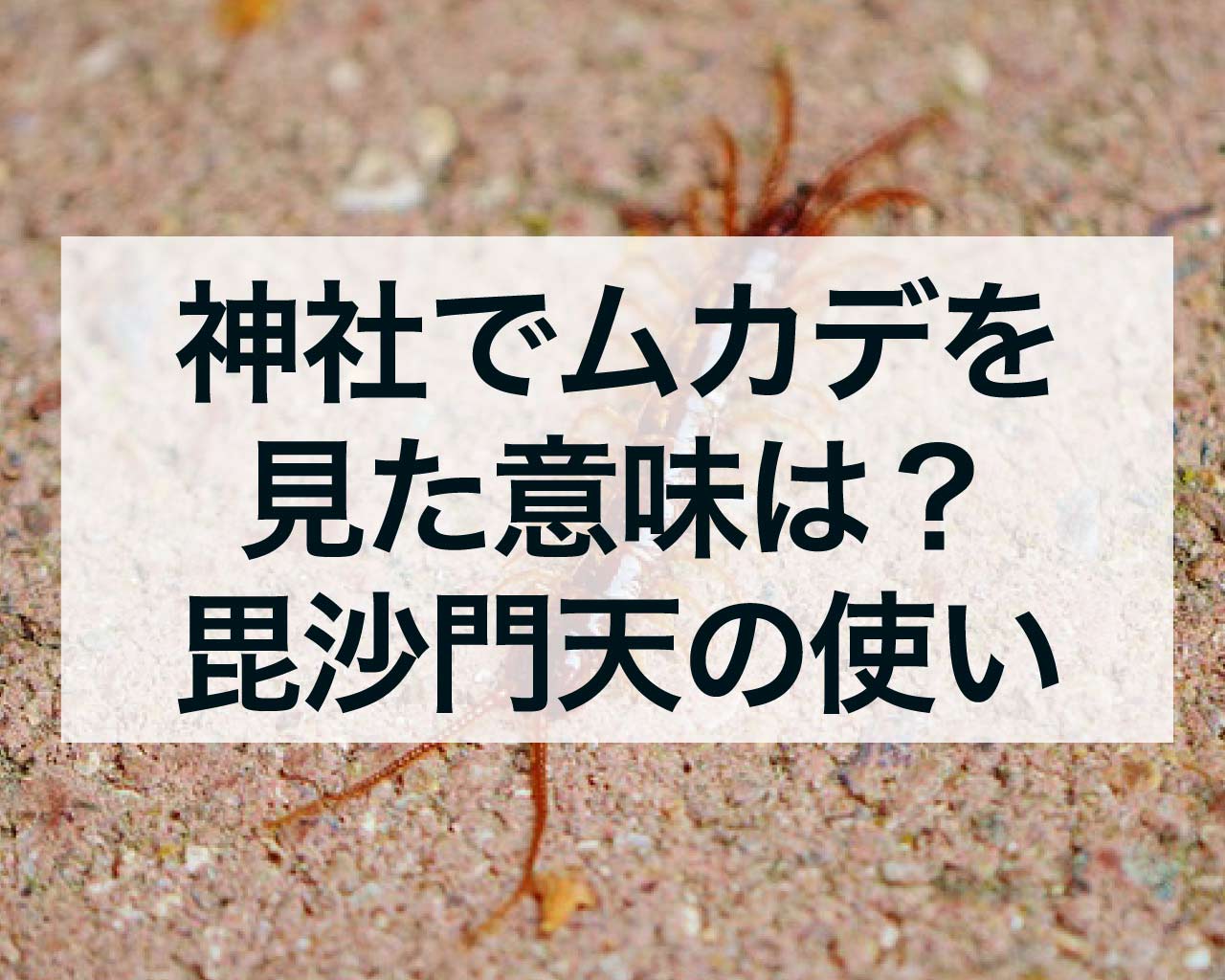 神社でムカデを見た意味は？ムカデは毘沙門天の使い