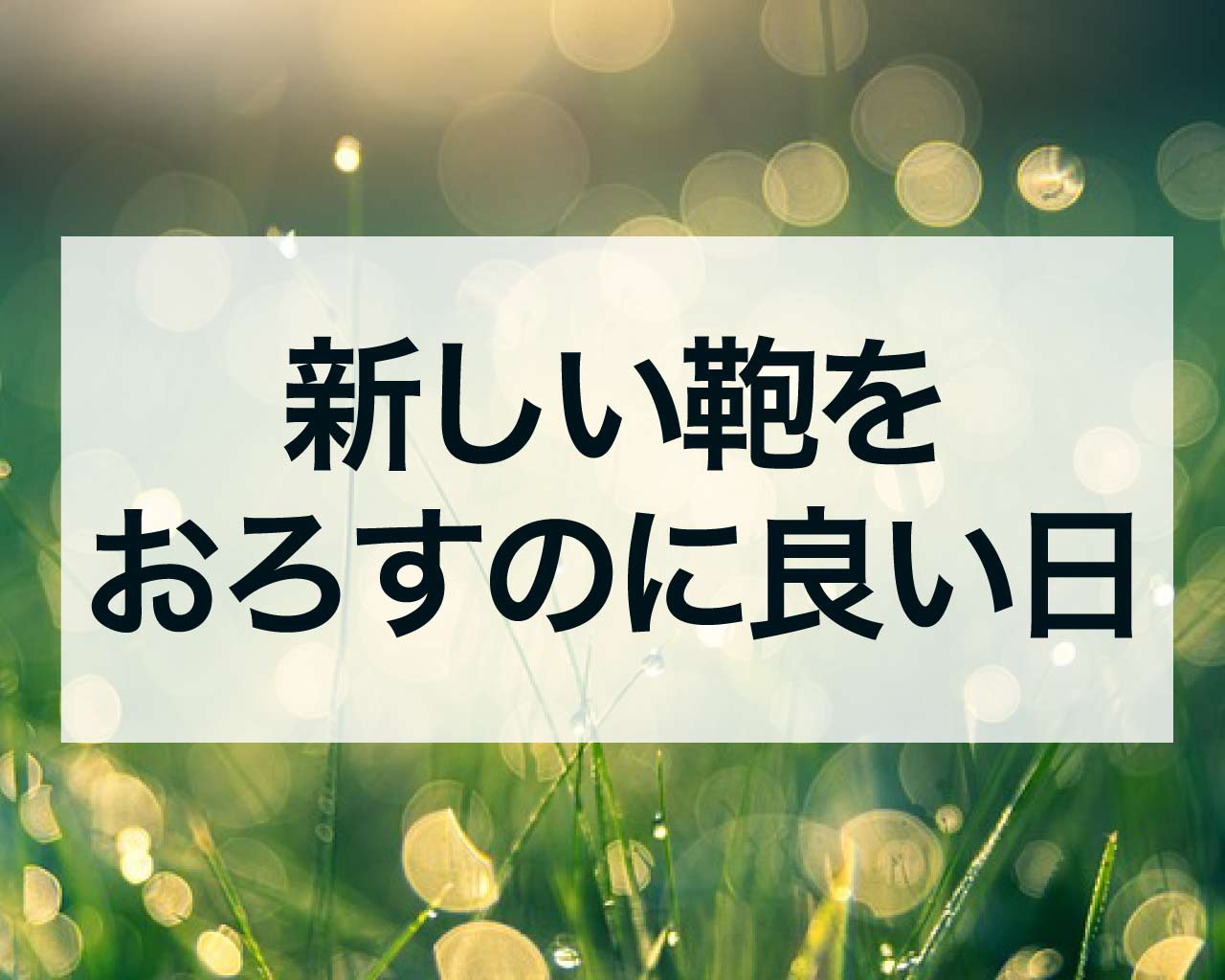 新しい鞄をおろすのに良い日