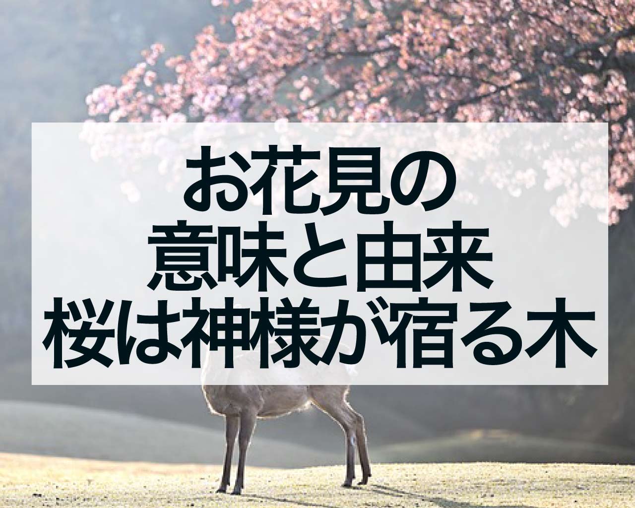 お花見の意味と由来、桜は神様が宿る木