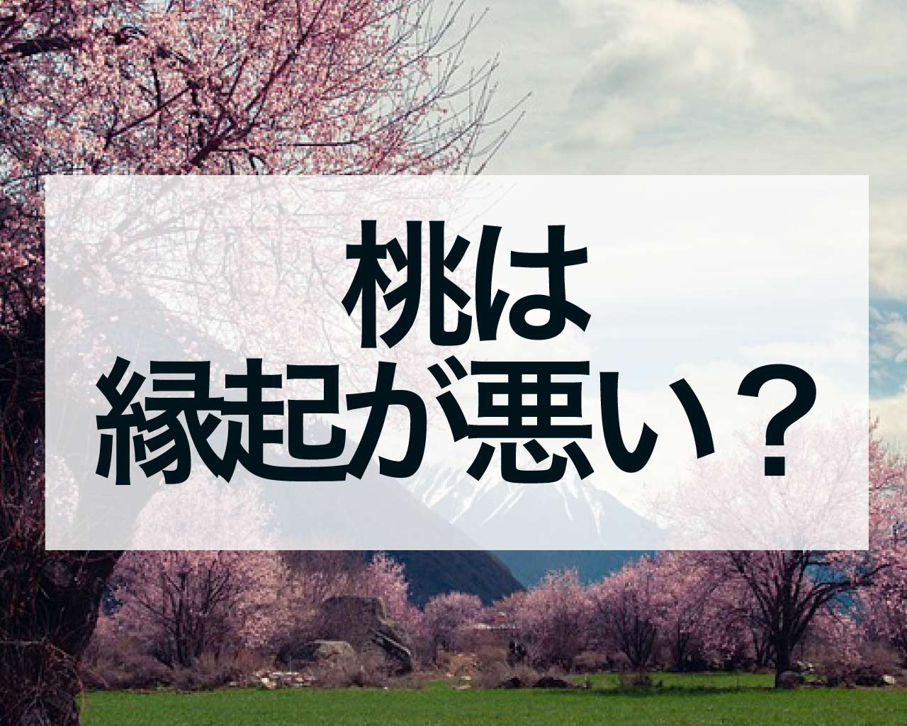 桃は縁起が悪い？花桃は方角に注意しないと植えてはいけない