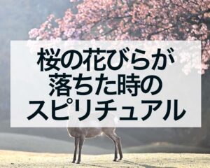 桜の花びらが落ちた時のスピリチュアル、桜の花びらが体・頭・靴についた意味や桜の花びらをキャッチした時のジンクス