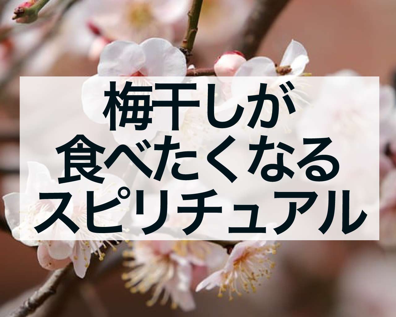 梅干しが食べたくなるスピリチュアル、梅干しは浄化で邪気払い、梅干しで厄を払って運気をあげよう