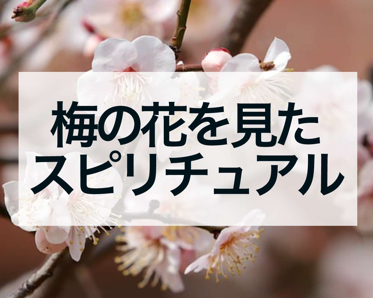 梅の花を見たスピリチュアル、神社・公園・街路樹で梅の花を見た意味