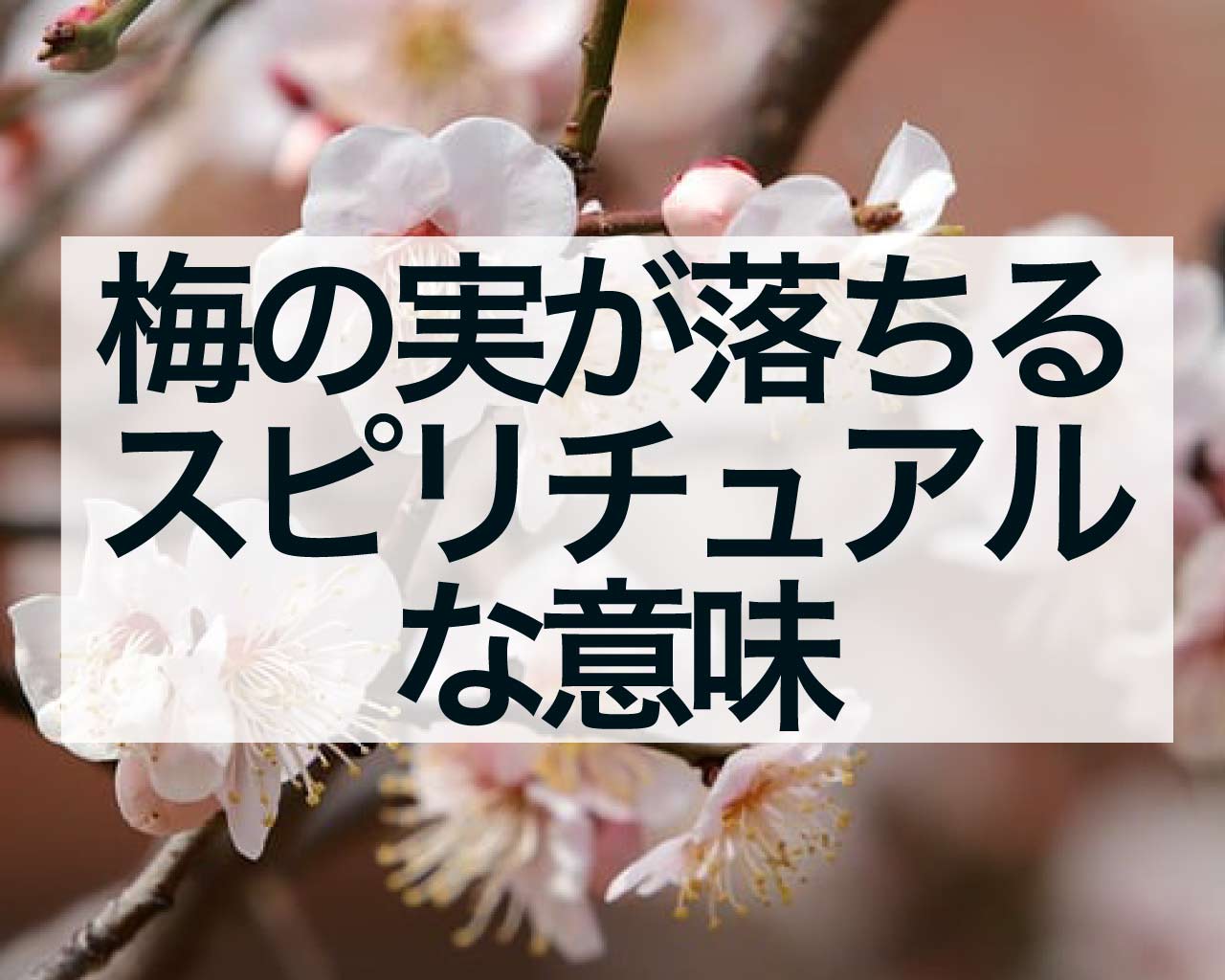 梅の実が落ちるスピリチュアルな意味、梅の実のスピリチュアル