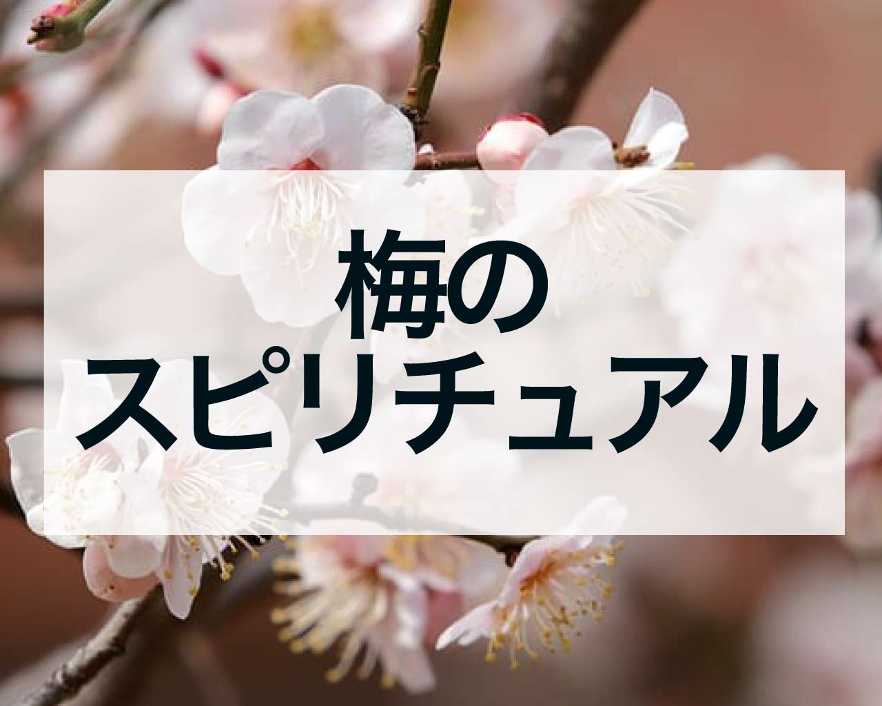 梅のスピリチュアル、梅の実や花、木のメッセージ