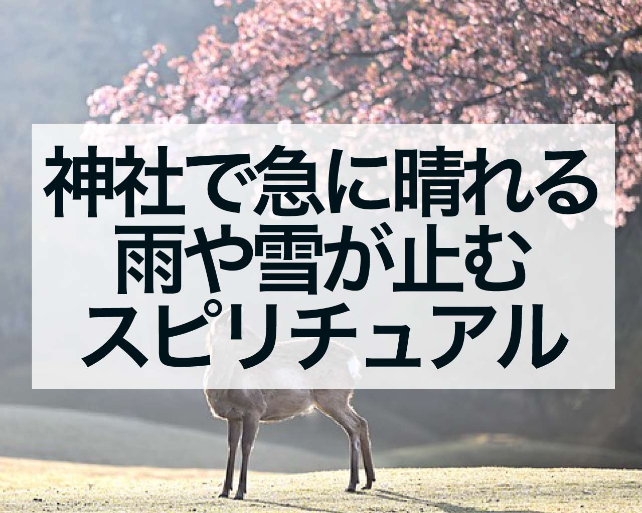 神社で急に晴れる、参拝後に雨や雪が止むスピリチュアルな意味