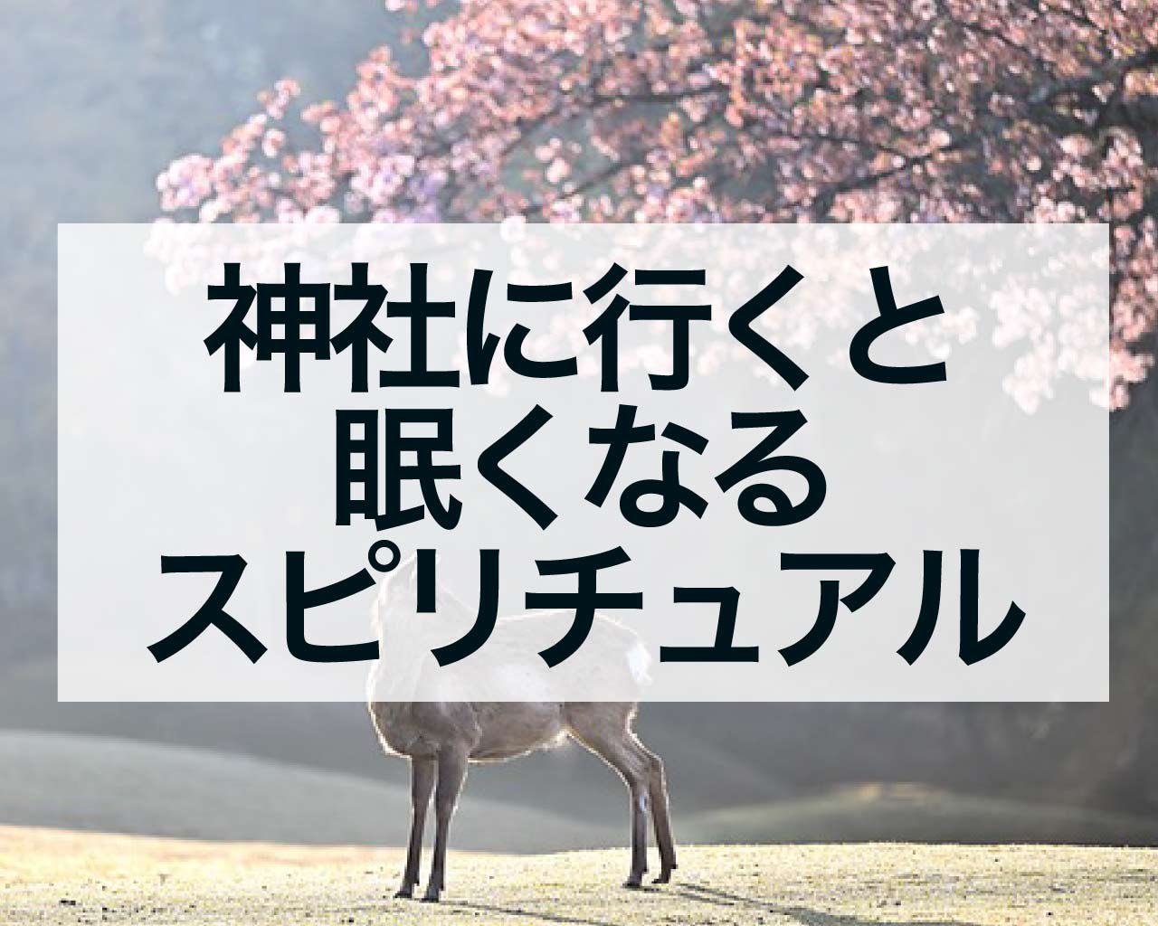 神社に行くと眠くなるスピリチュアルな意味、参拝前後の眠気は好転反応？