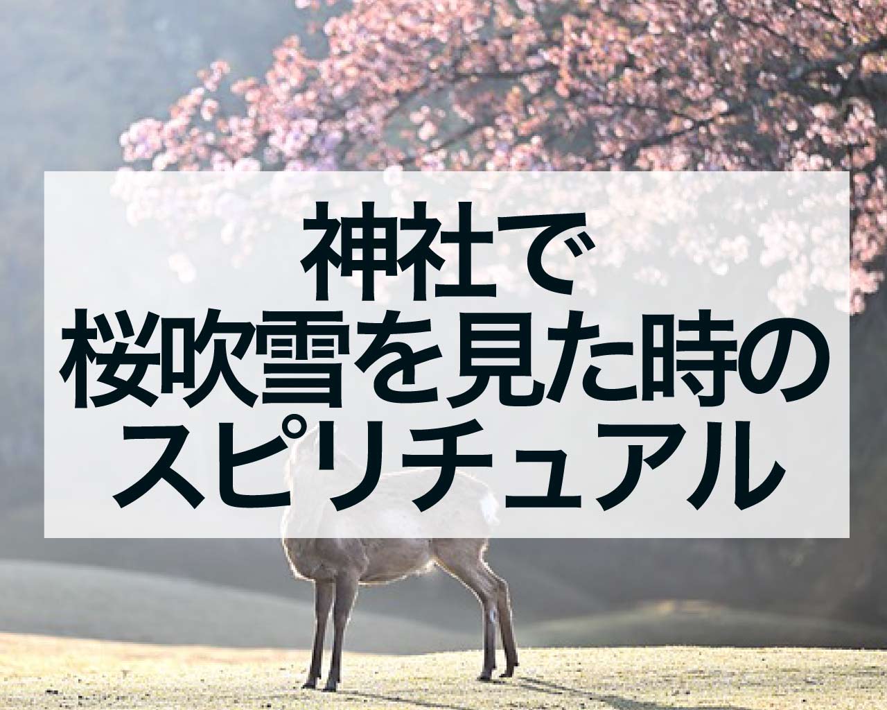 神社で桜吹雪を見た時のスピリチュアルな意味