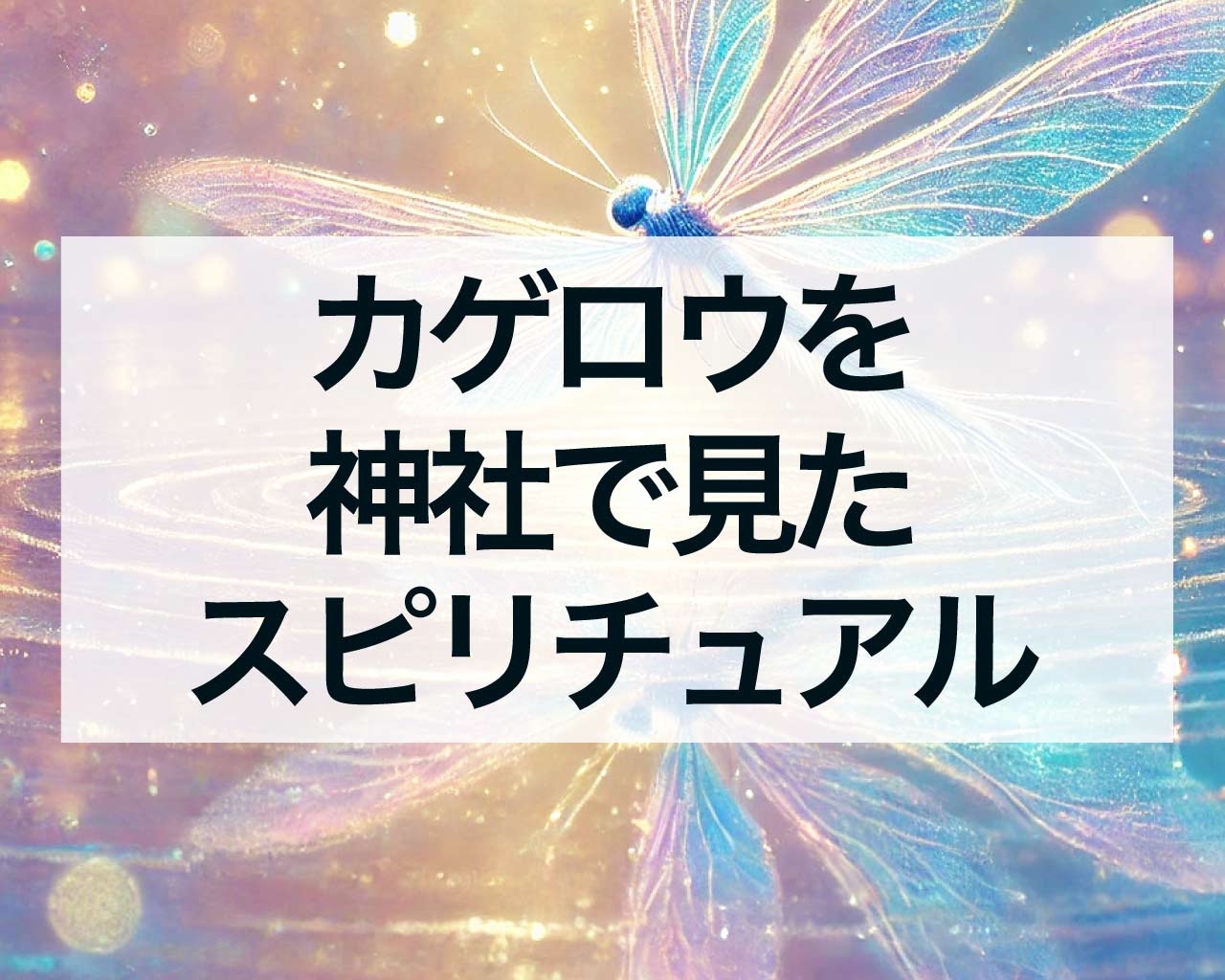 カゲロウを神社で見たスピリチュアルな意味