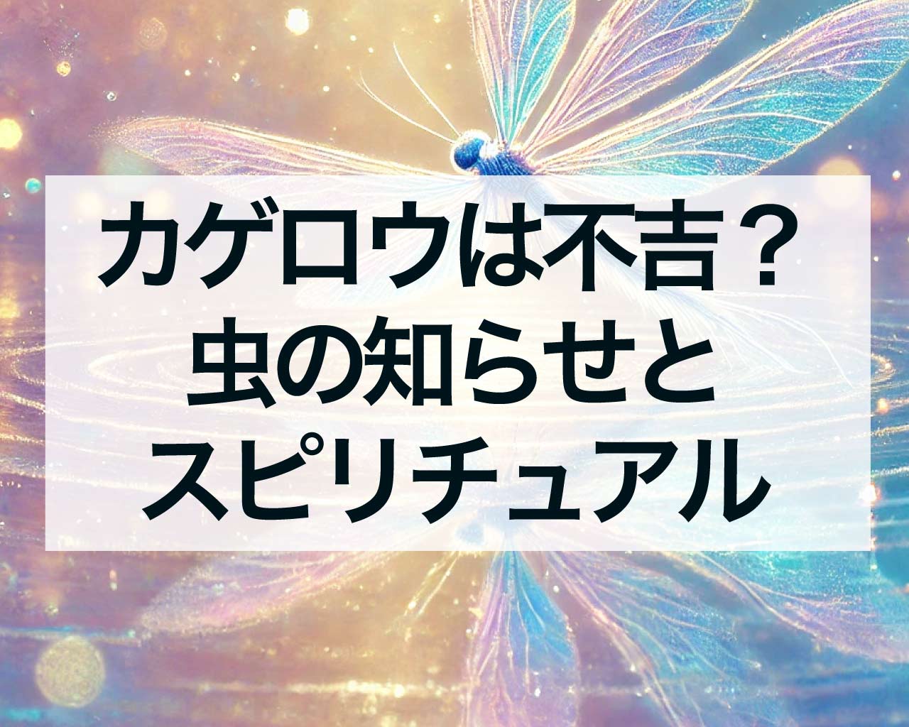 カゲロウは不吉？カゲロウと虫の知らせとスピリチュアルな意味