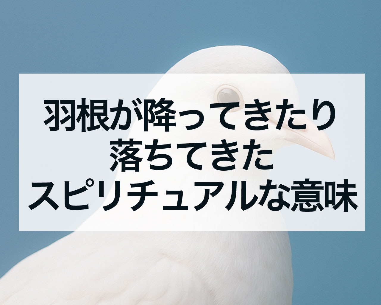 羽根が降ってきたり落ちてきたスピリチュアルな意味