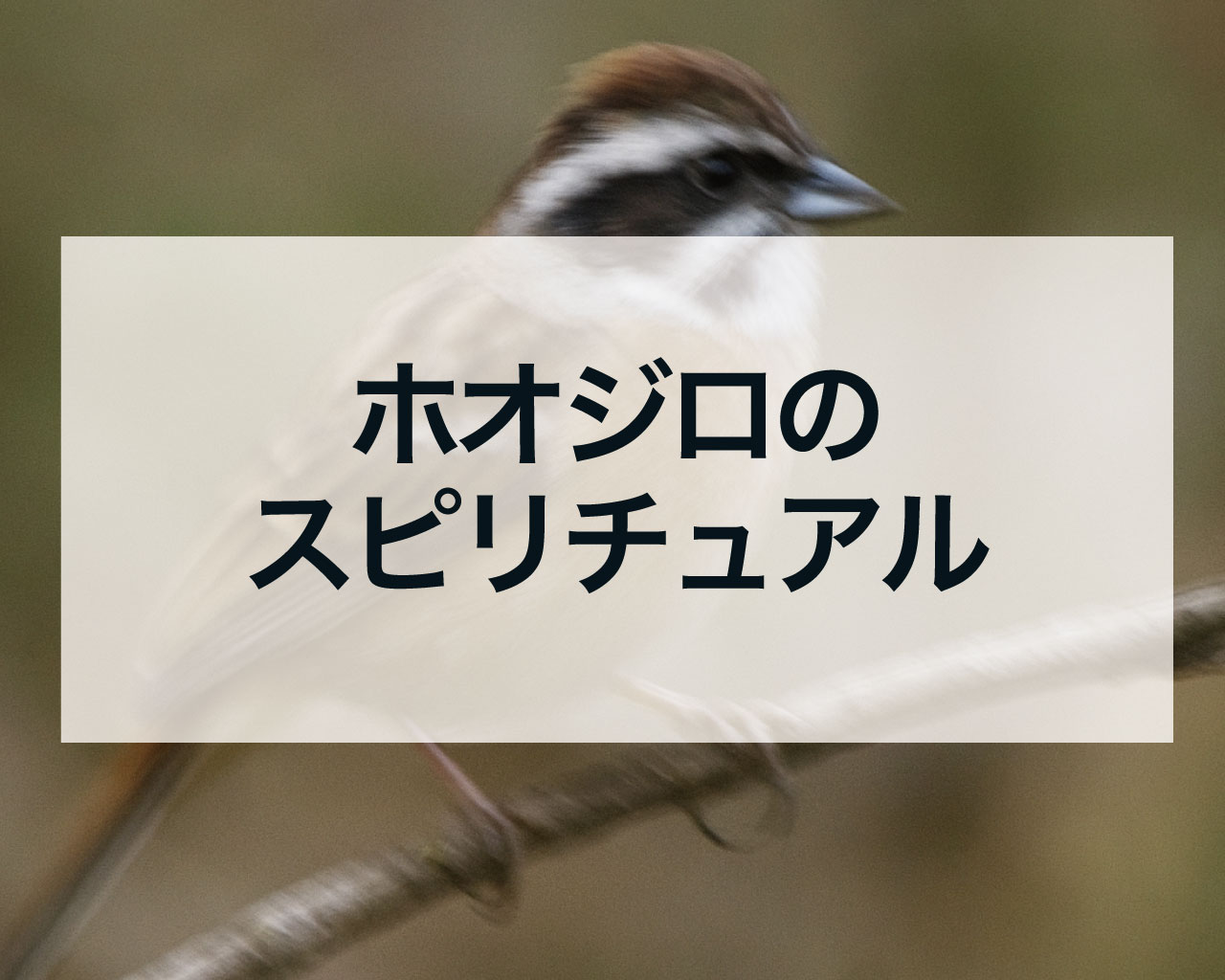 ホオジロのスピリチュアルな意味