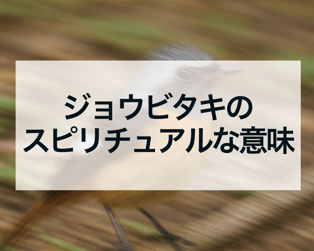 ジョウビタキのスピリチュアルな意味