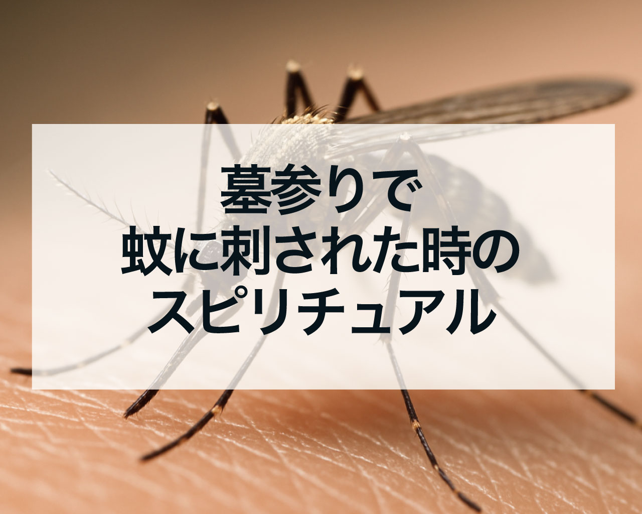 墓参りで蚊に刺された時のスピリチュアル