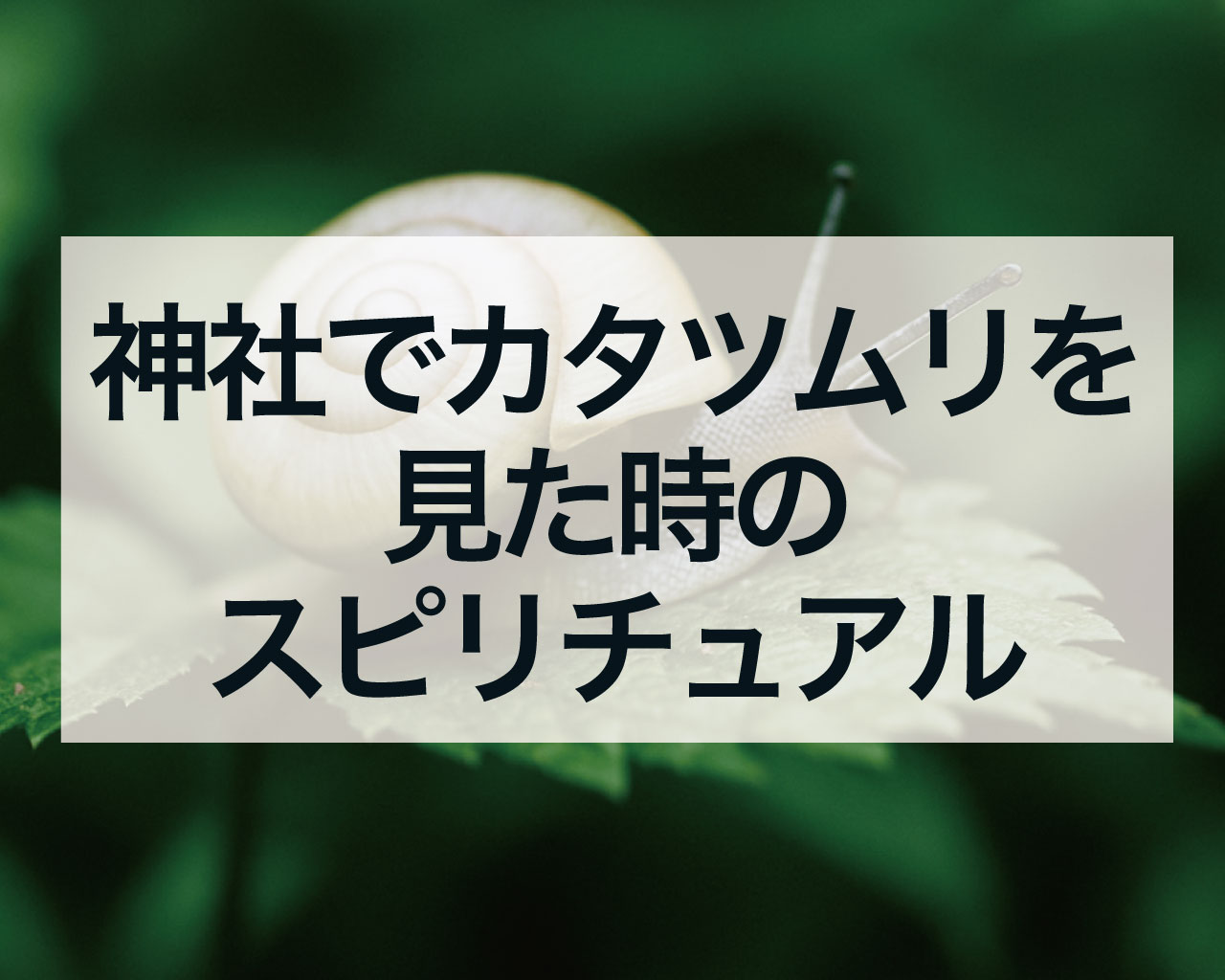 神社でカタツムリを見た時のスピリチュアルな意味