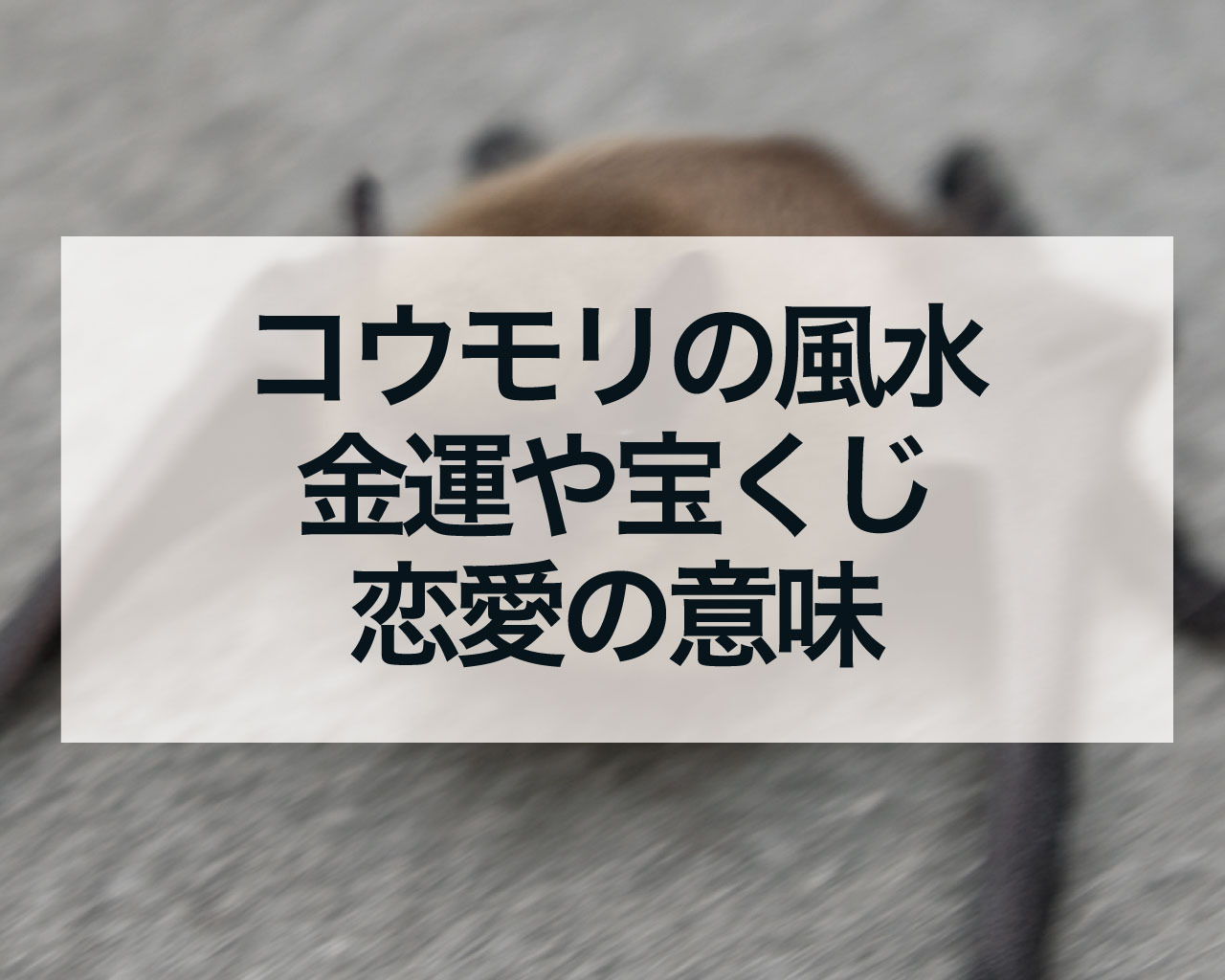 コウモリの風水、金運や宝くじ、恋愛の意味