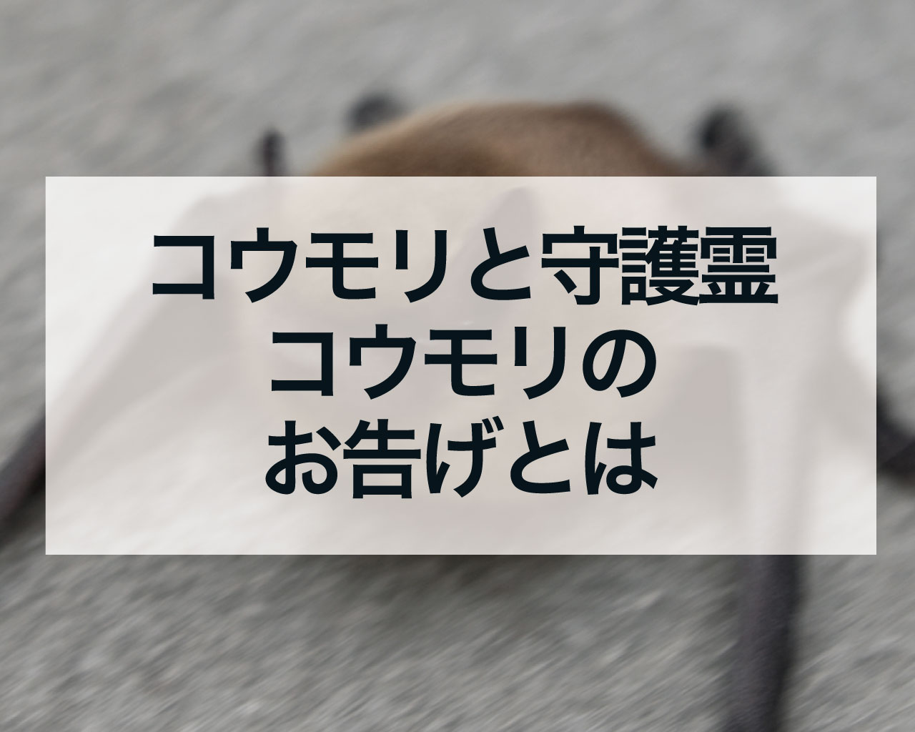 コウモリと守護霊、コウモリのお告げとは？