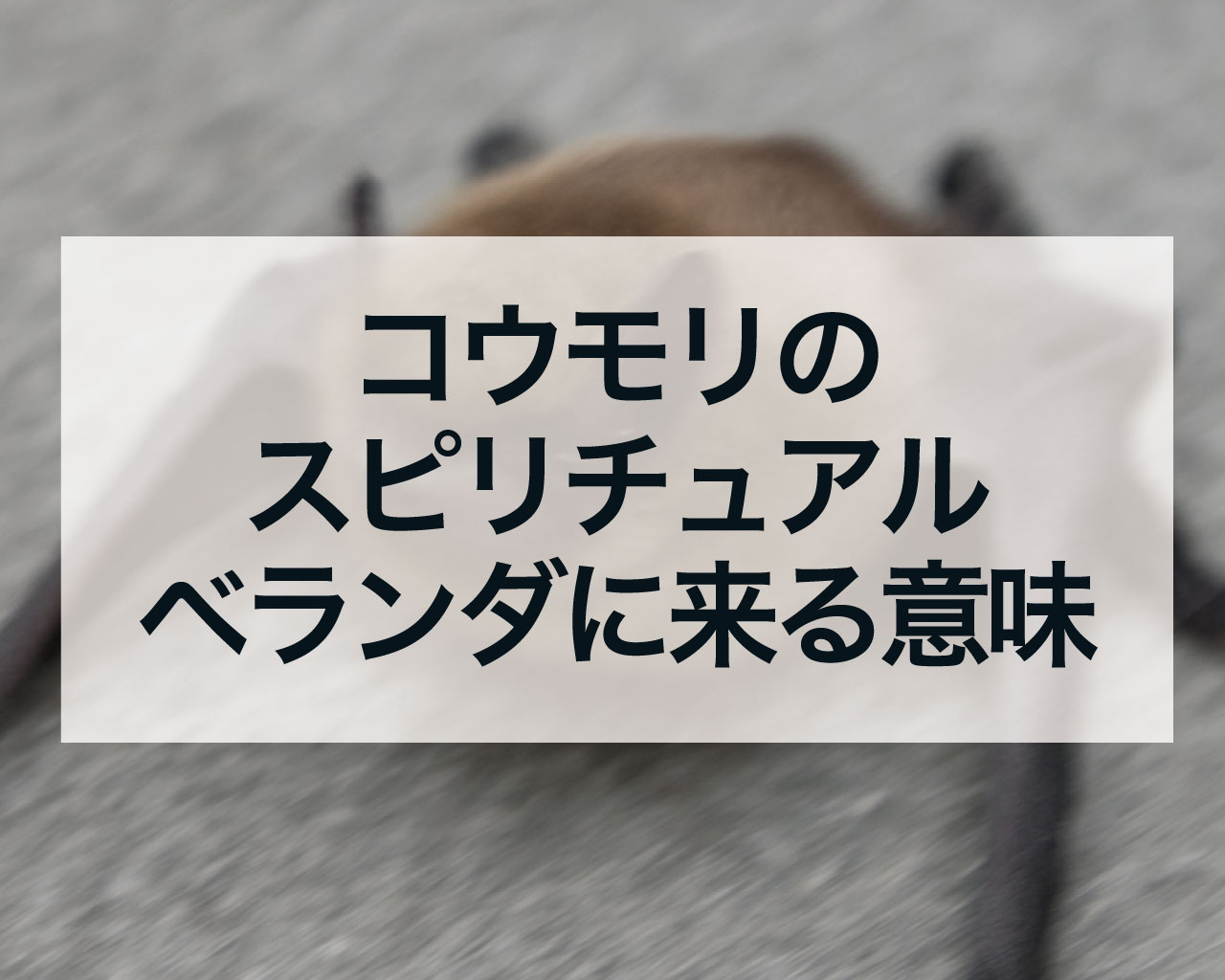 コウモリのスピリチュアル、ベランダや家にコウモリが来る意味