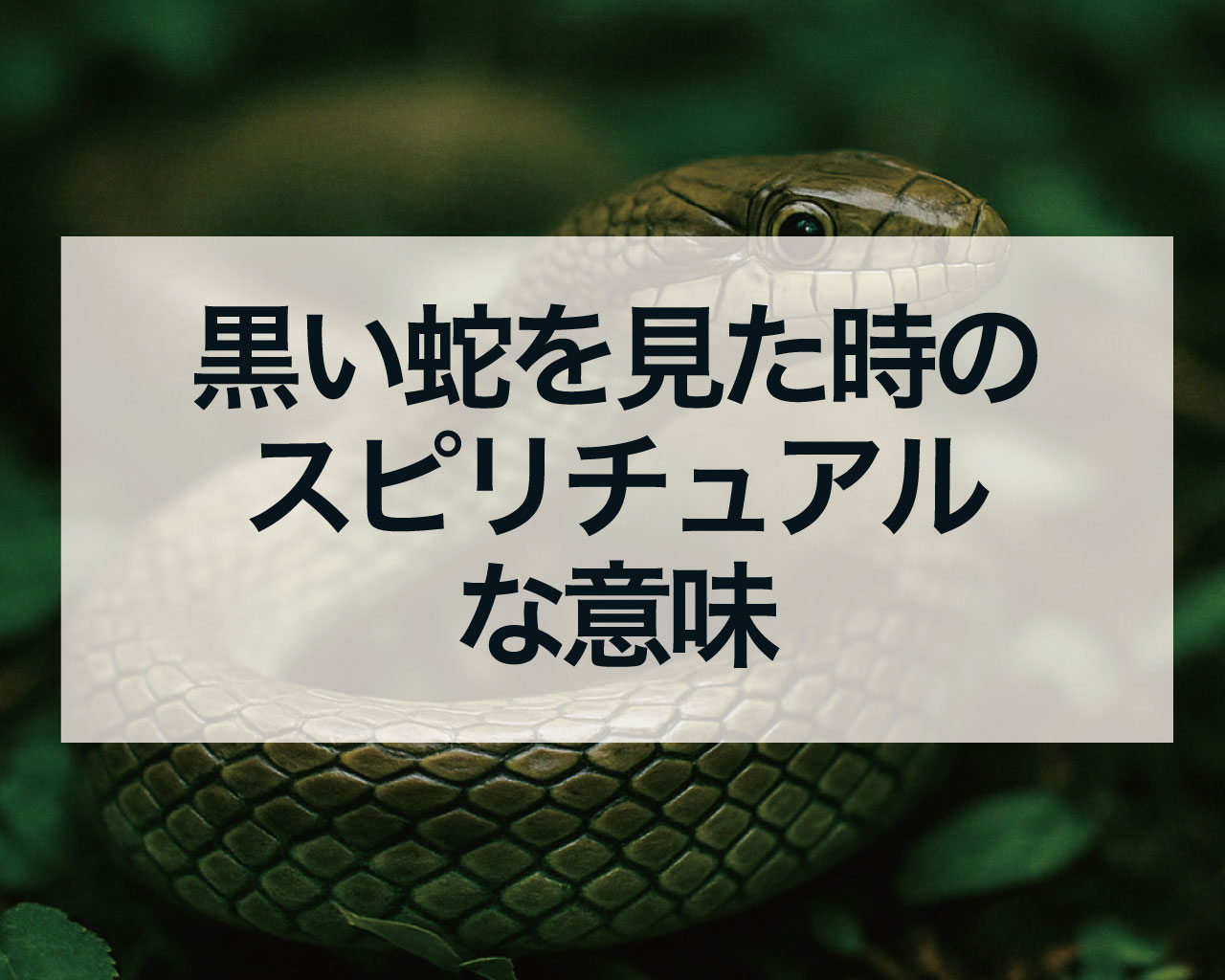 黒い蛇を見た時のスピリチュアルな意味