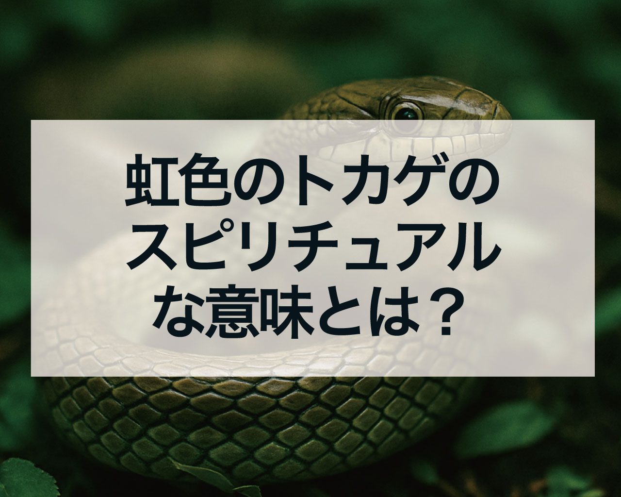 虹色のトカゲのスピリチュアルな意味とは？