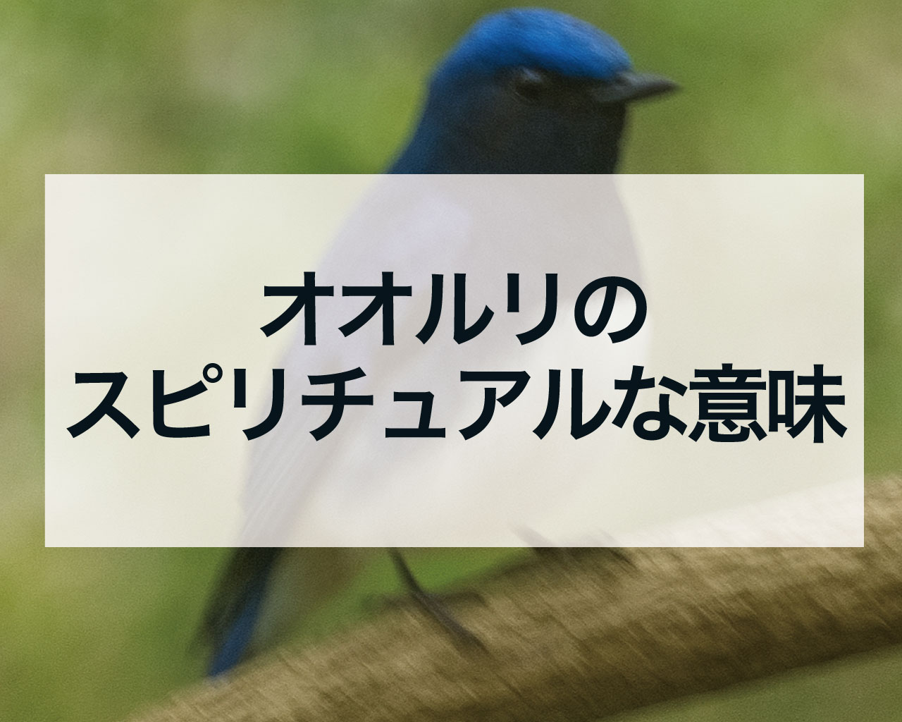 オオルリのスピリチュアルな意味