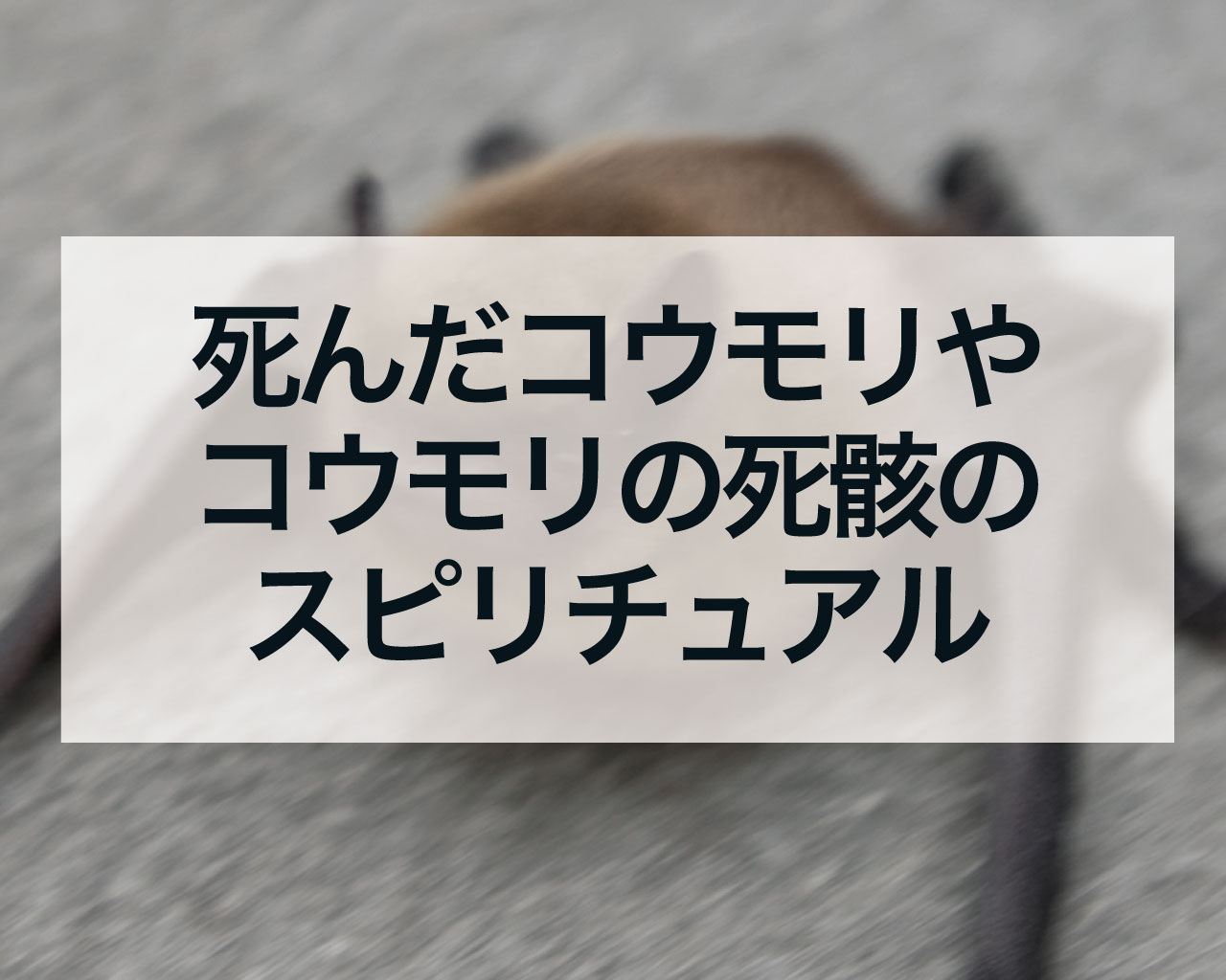 死んだコウモリやコウモリの死骸のスピリチュアル