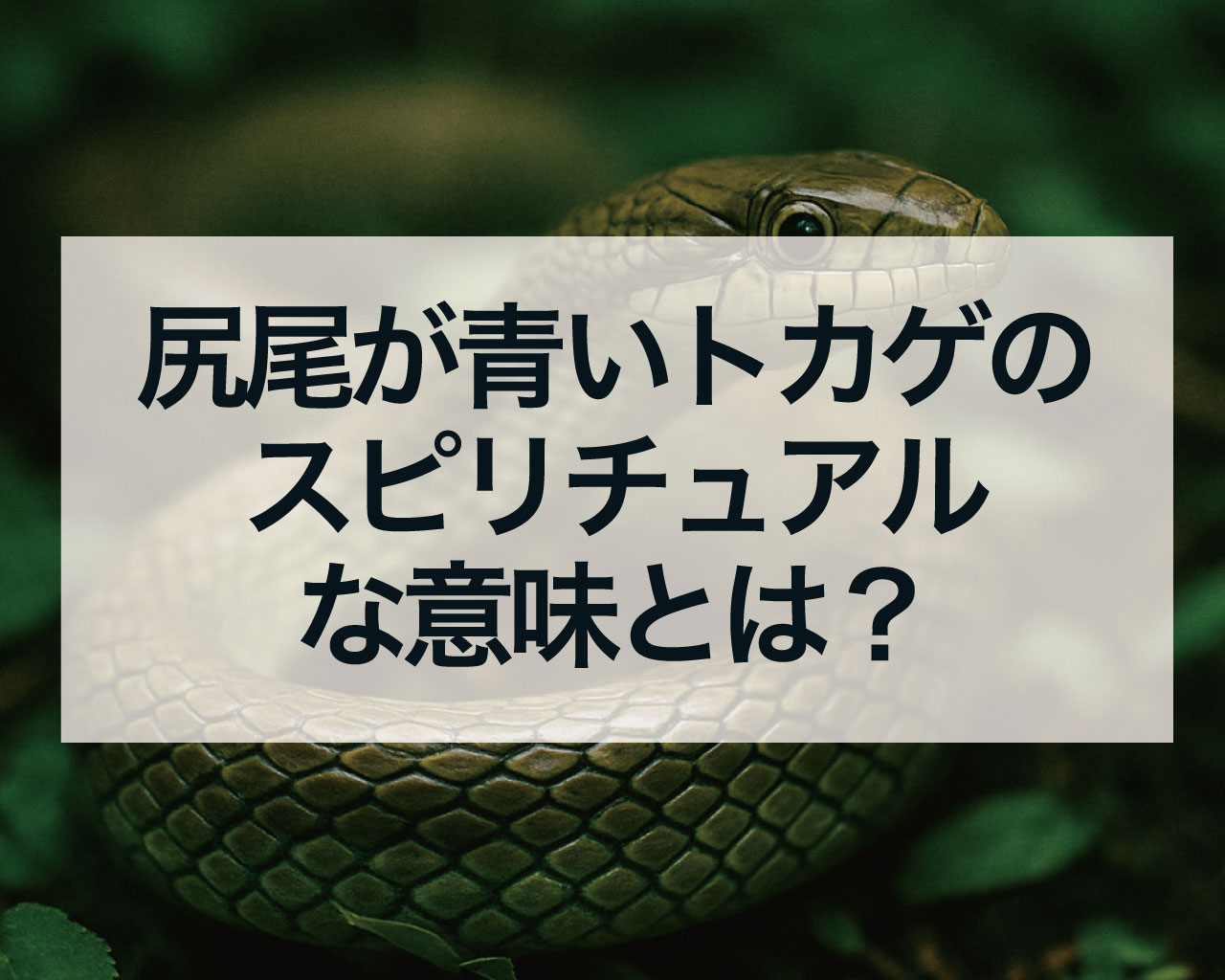 尻尾が青いトカゲのスピリチュアルな意味とは？
