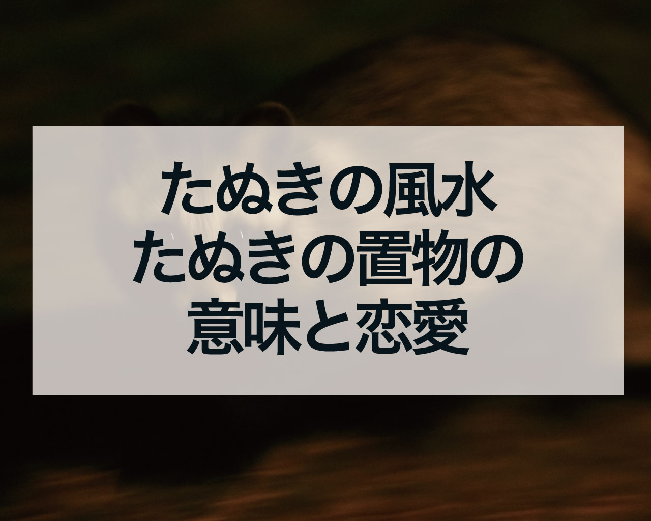 たぬきの風水、たぬきの置物の意味と恋愛