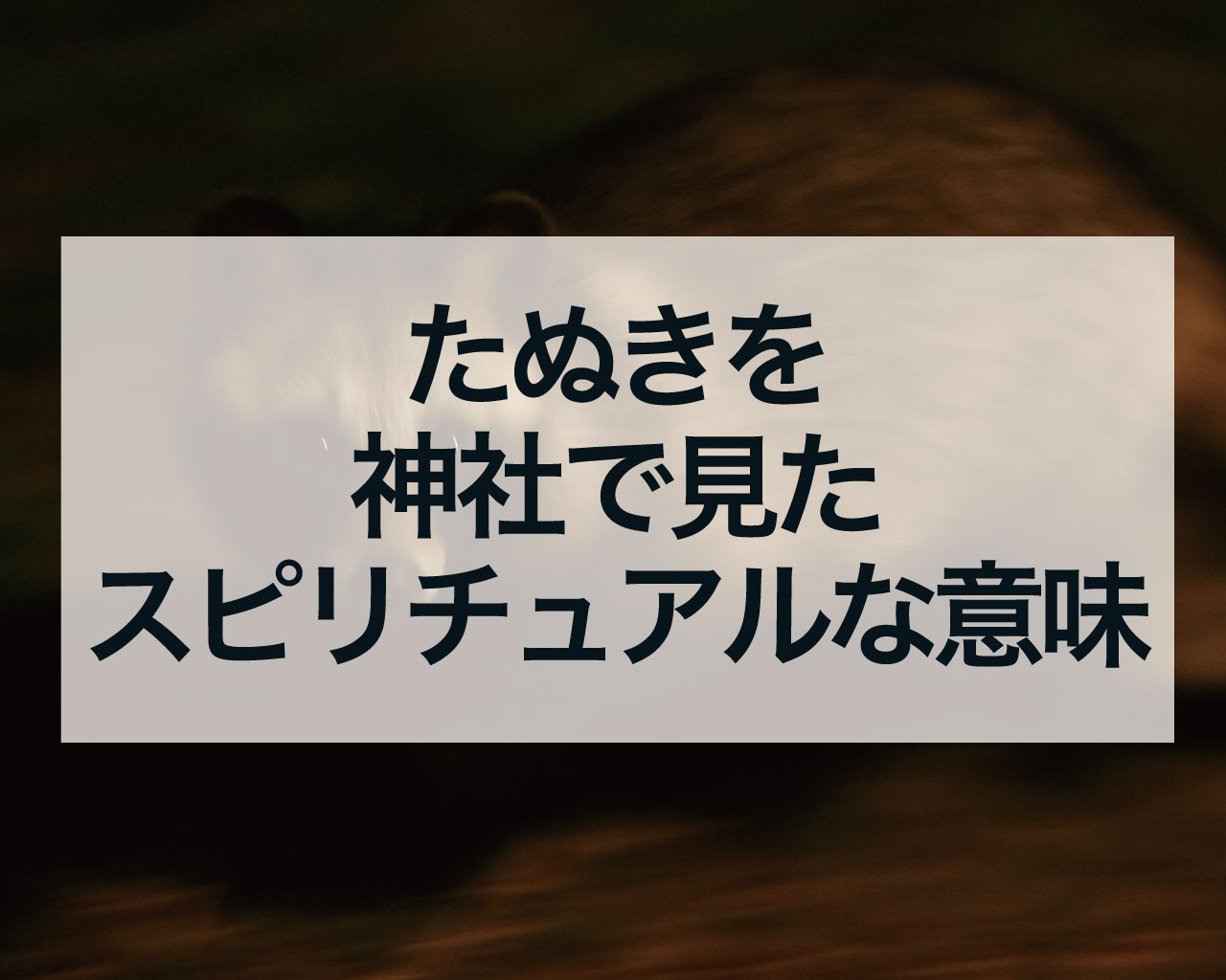 たぬきを神社で見たスピリチュアルな意味