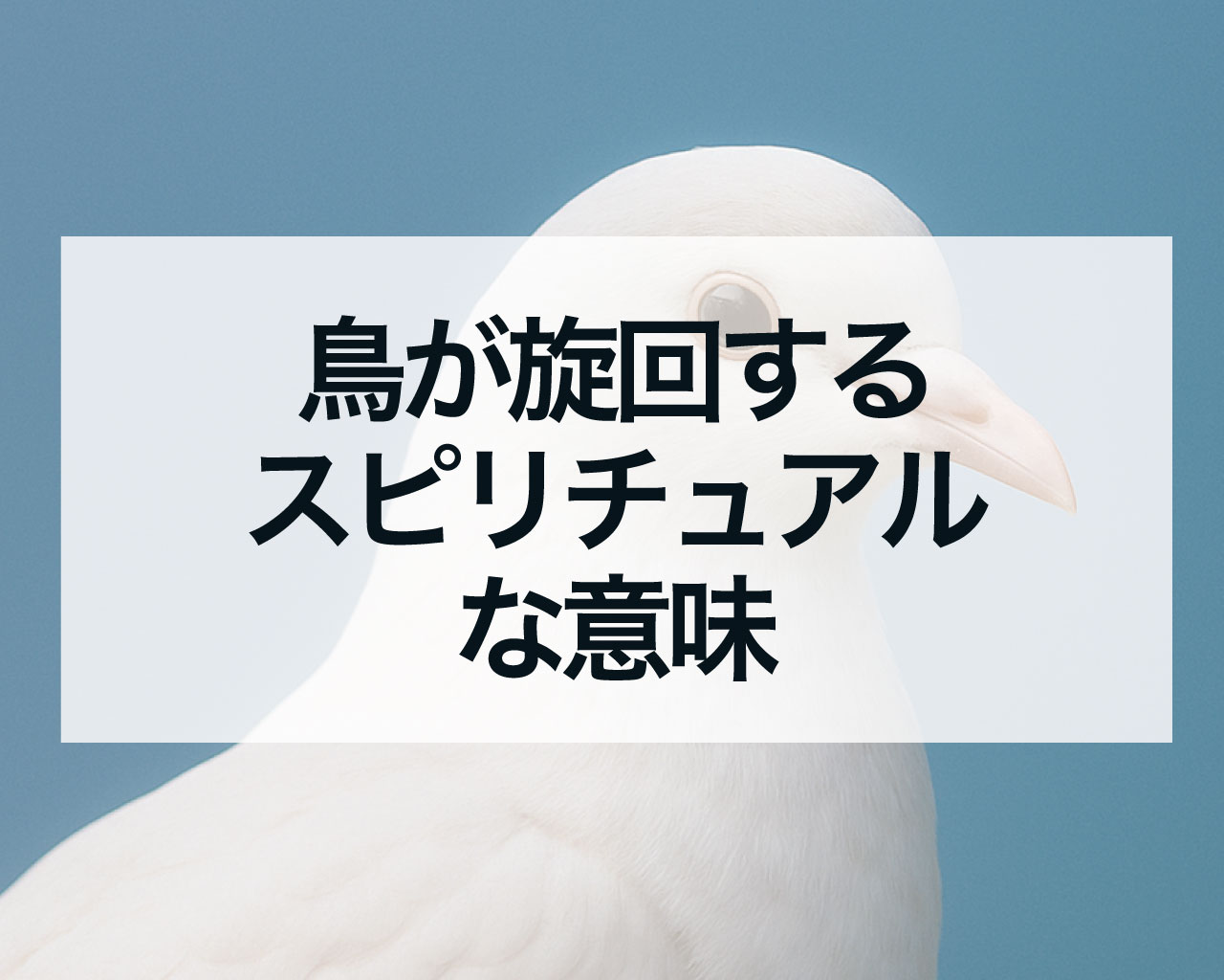 鳥が旋回するスピリチュアルな意味、鷹やトンビが旋回する時