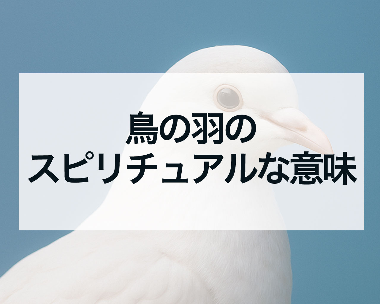 鳥の羽のスピリチュアルな意味、白い羽、神社や玄関や庭に落ちていた意味