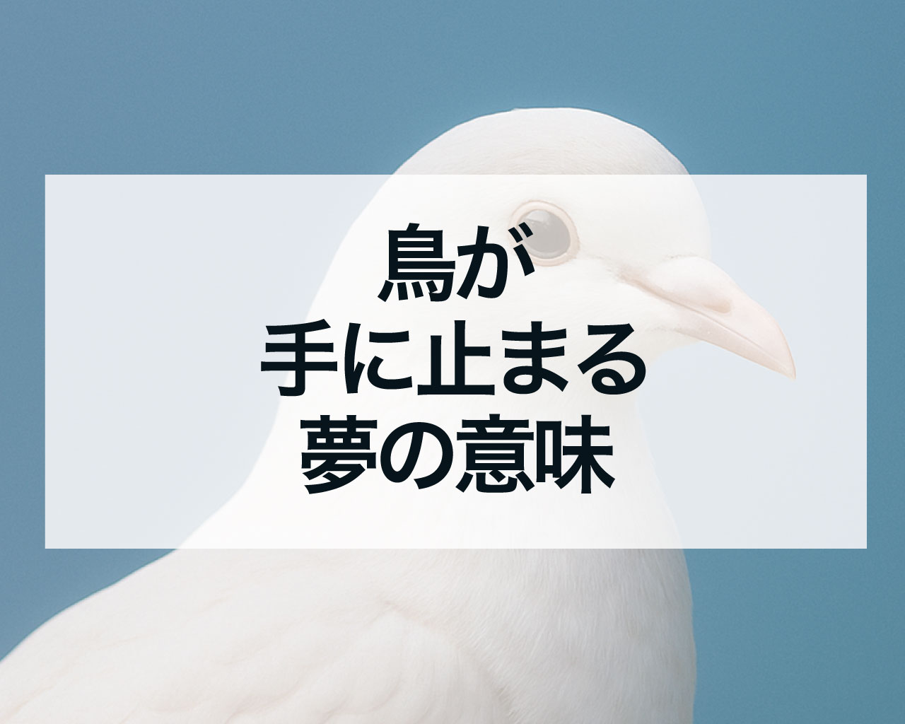 鳥が手に止まる夢の意味