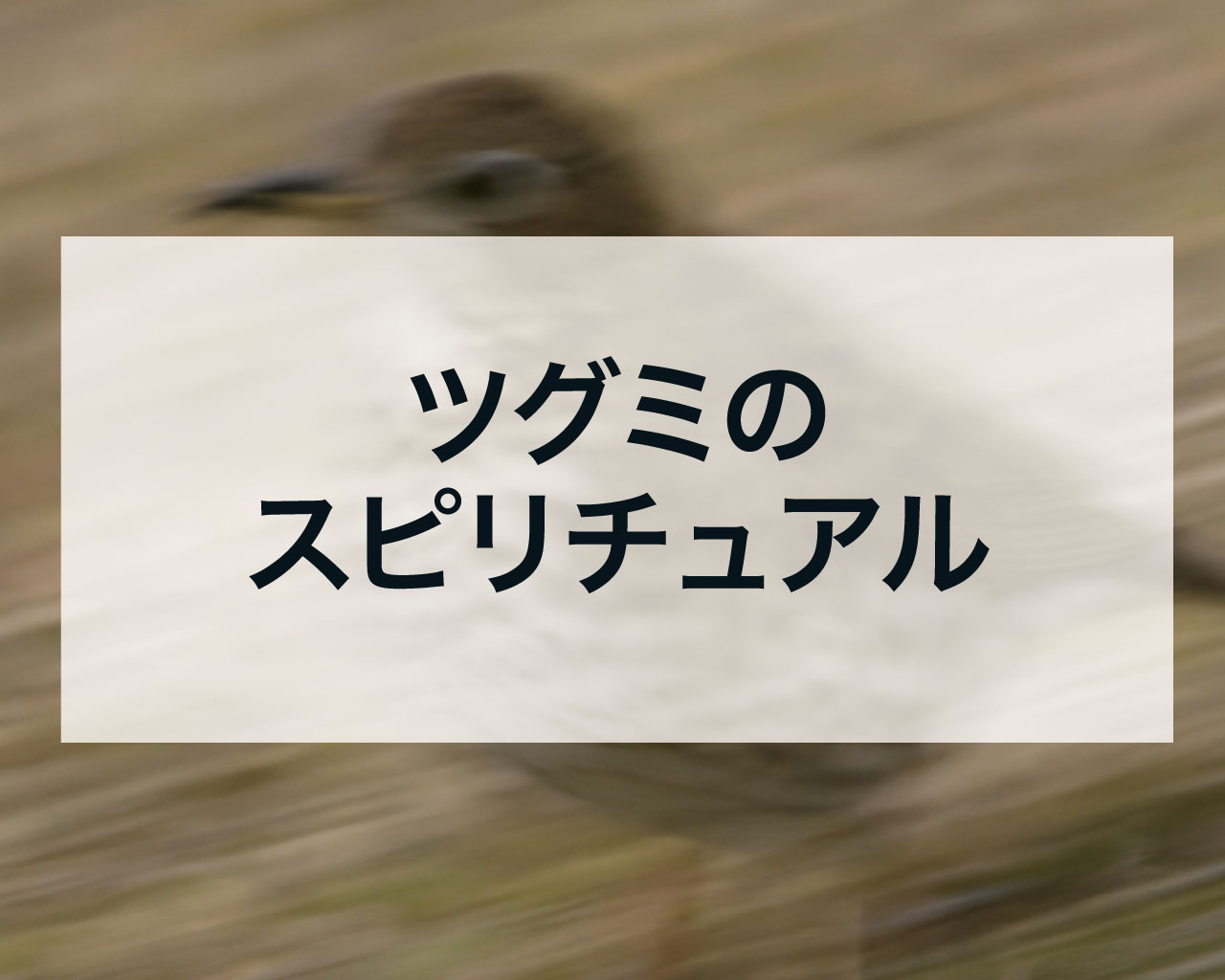 ツグミのスピリチュアル