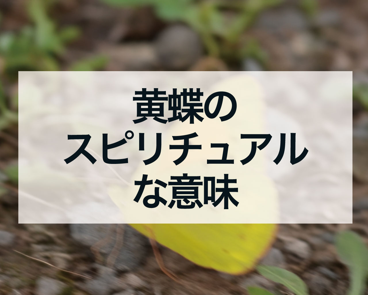 黄蝶のスピリチュアルな意味とは？