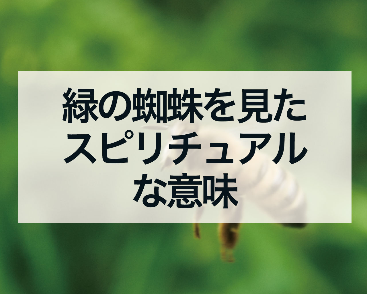 緑の蜘蛛を見たスピリチュアルな意味