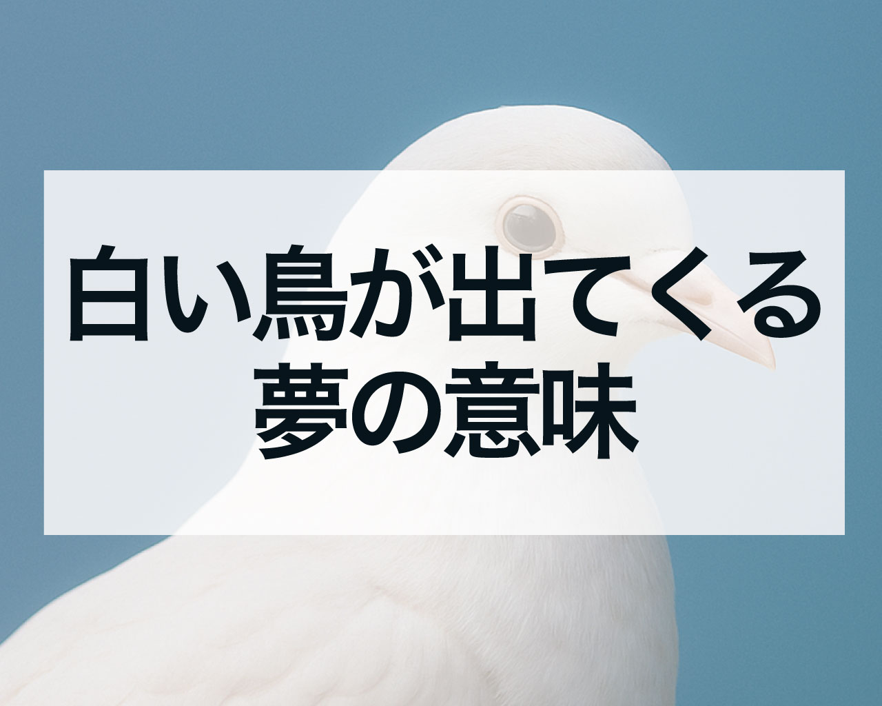 白い鳥が出てくる夢の意味