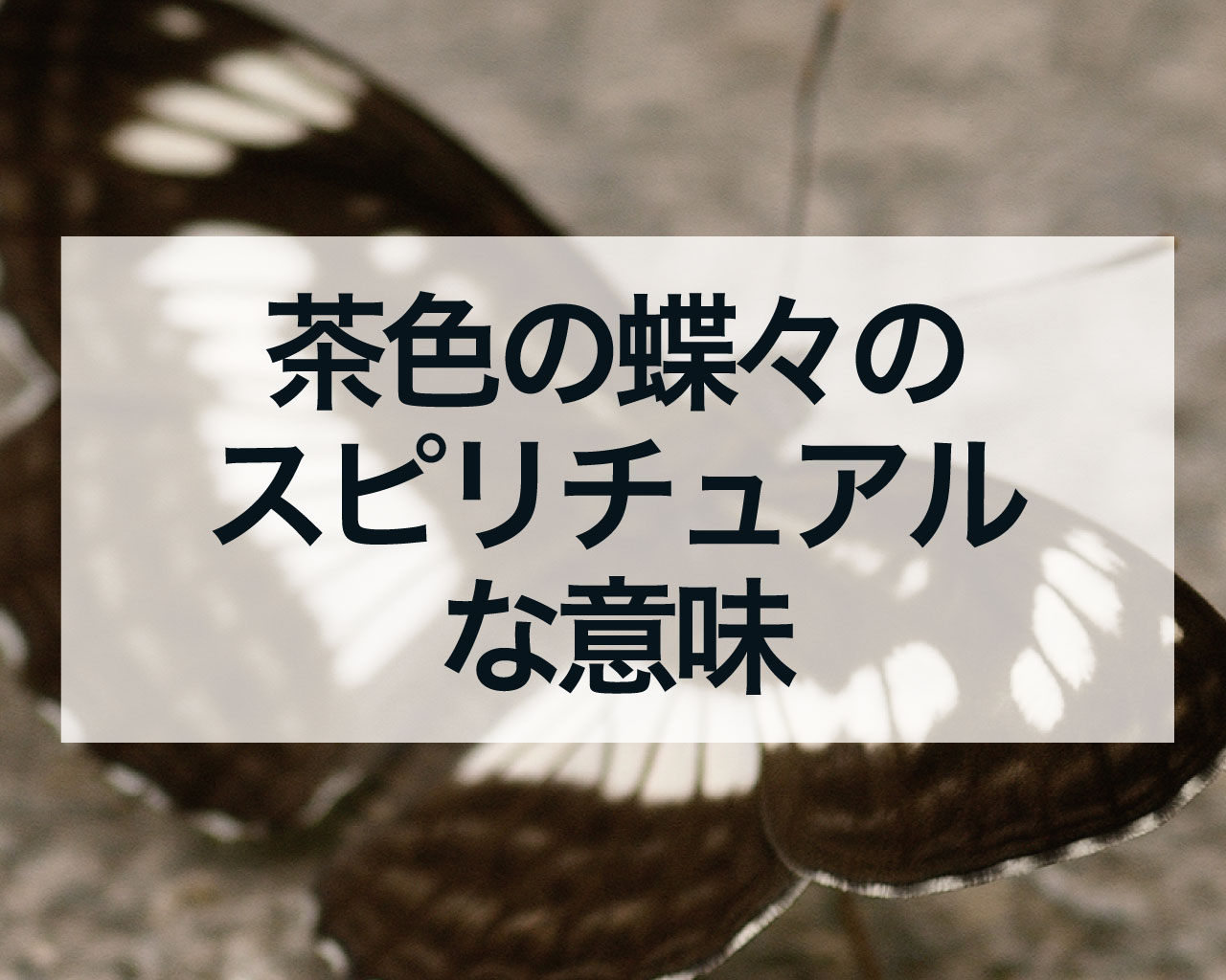 茶色の蝶々のスピリチュアルな意味