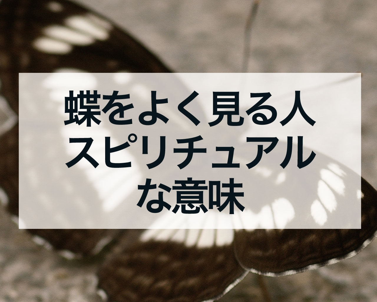 蝶をよく見る人のスピリチュアルな意味とは？