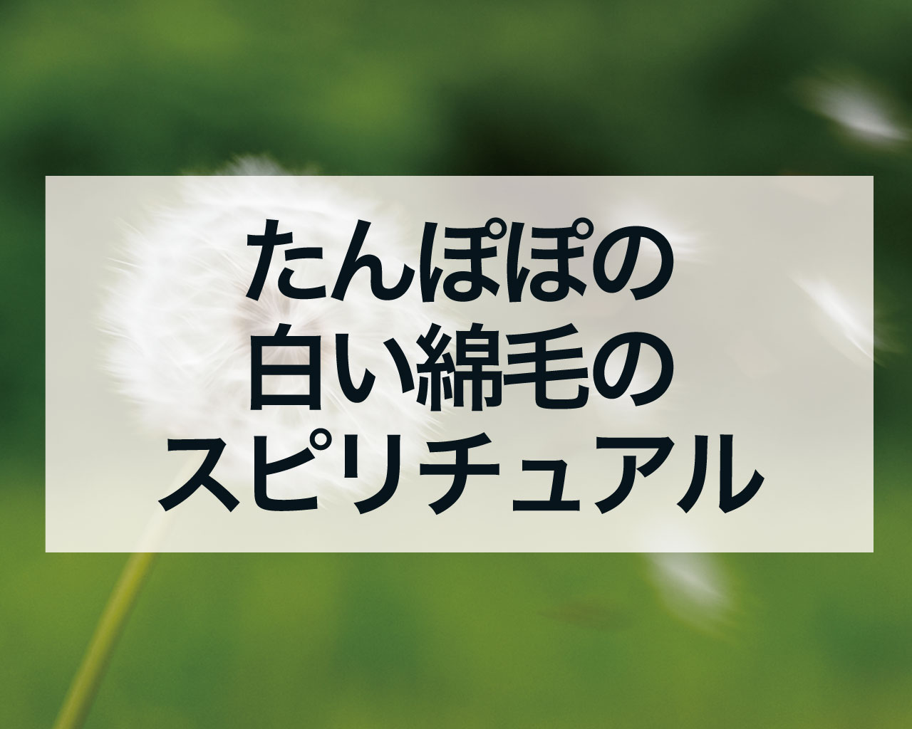 たんぽぽの白い綿毛のスピリチュアルな意味