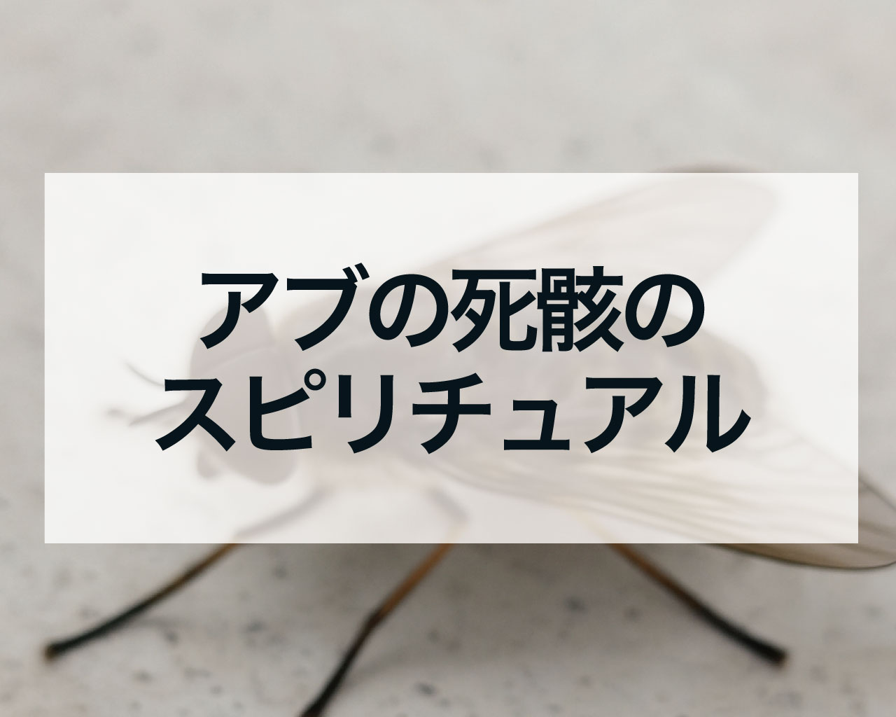 アブの死骸のスピリチュアル