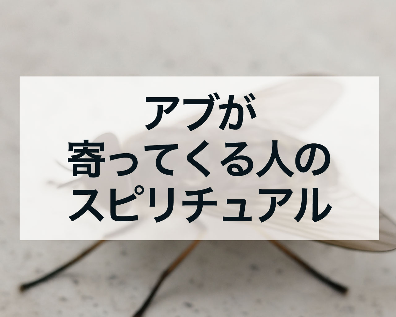 アブが寄ってくる人のスピリチュアルな意味