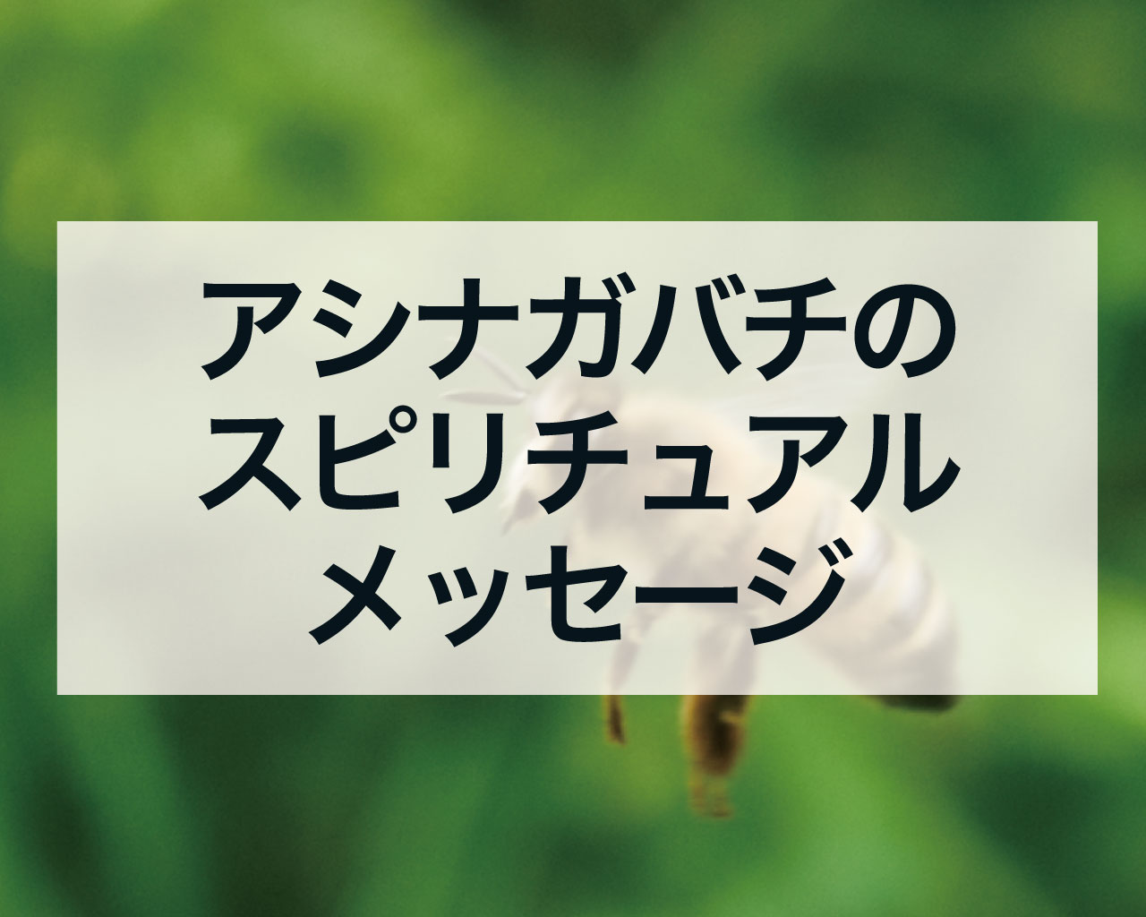 アシナガバチのスピリチュアルメッセージ