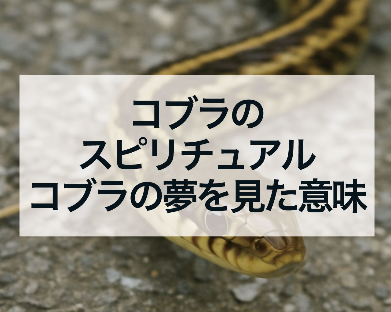 コブラのスピリチュアル、コブラの夢を見た意味