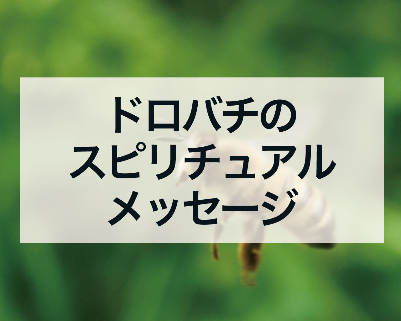 ドロバチのスピリチュアル