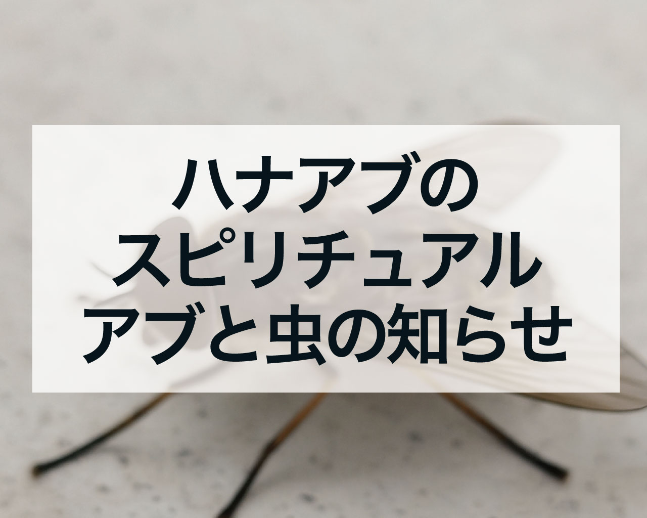ハナアブのスピリチュアルサイン、アブと虫の知らせ