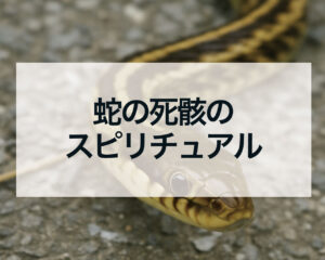 蛇の死骸のスピリチュアル