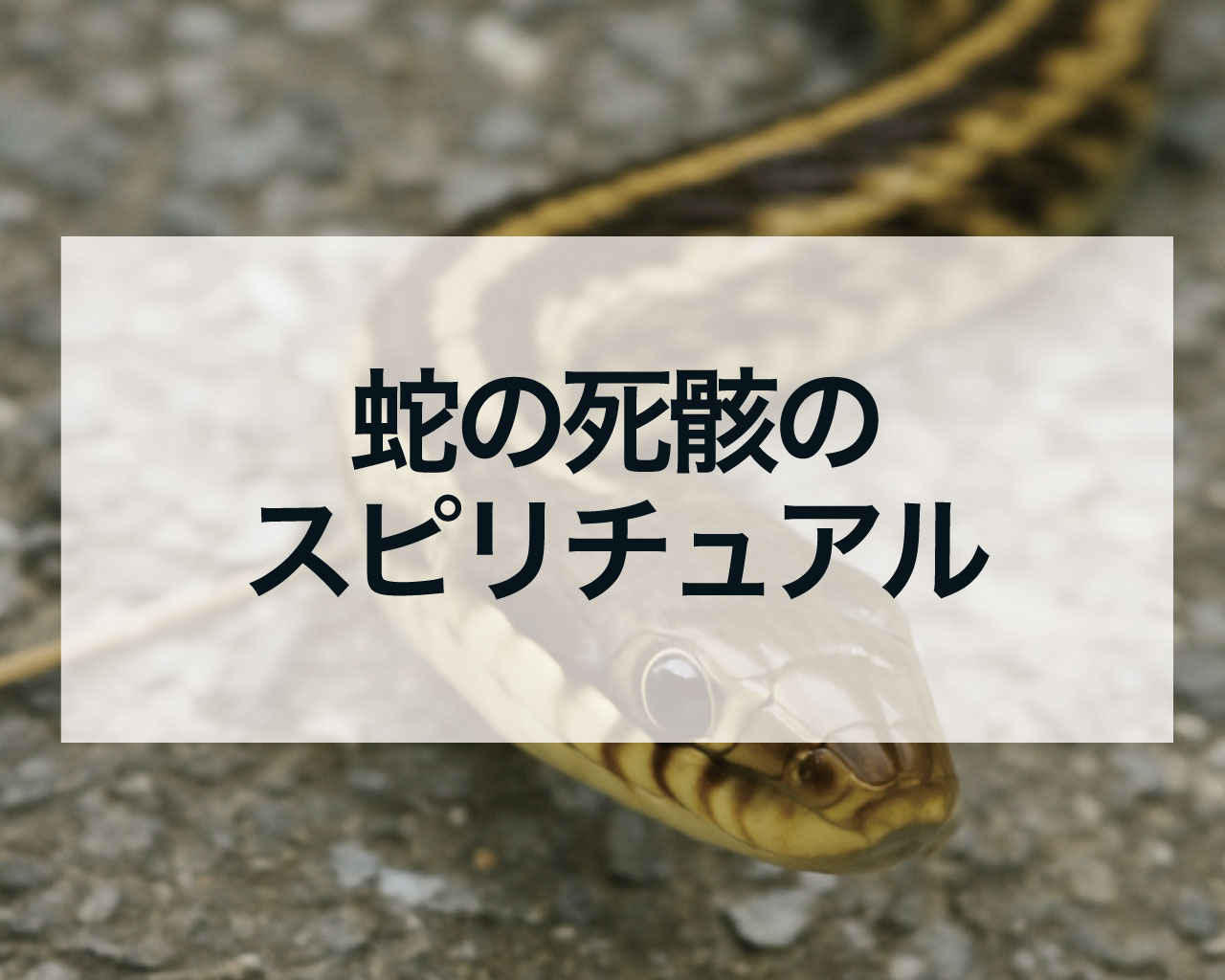 蛇の死骸のスピリチュアル