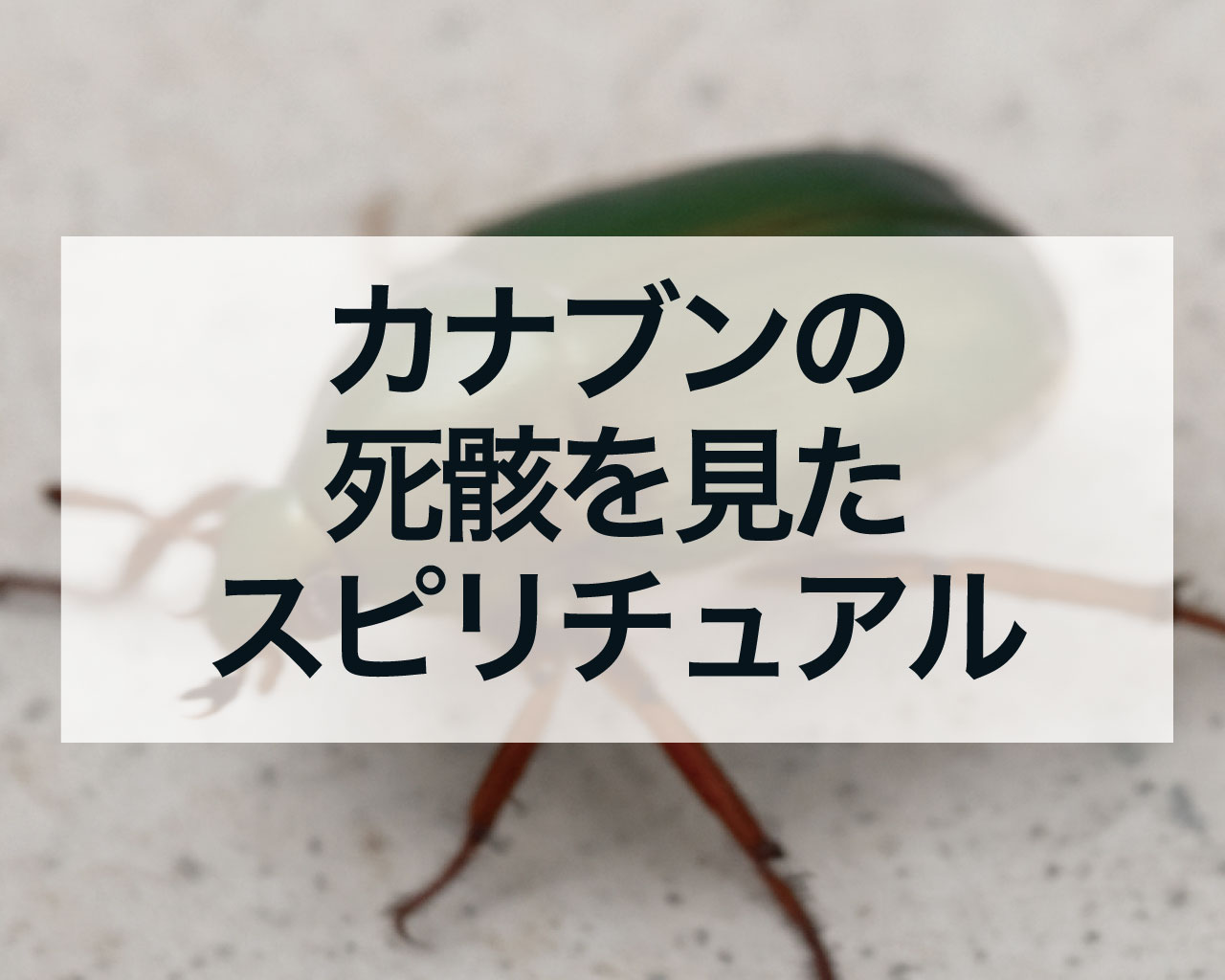カナブンの死骸を見たスピリチュアルな意味