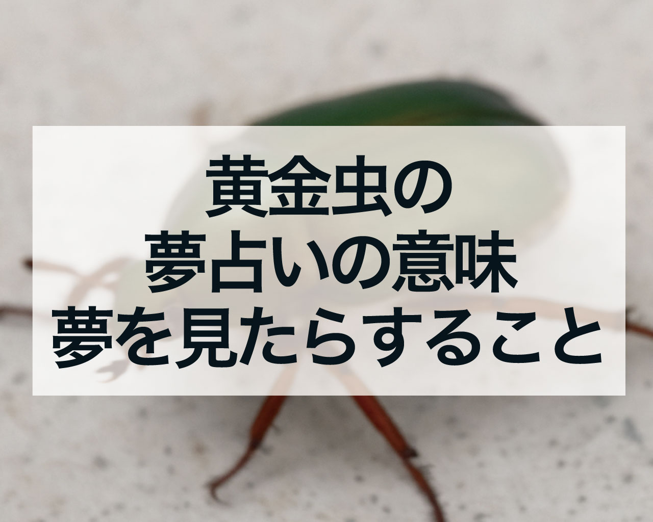 黄金虫の夢占いの意味、コガネムシの夢を見たらすること