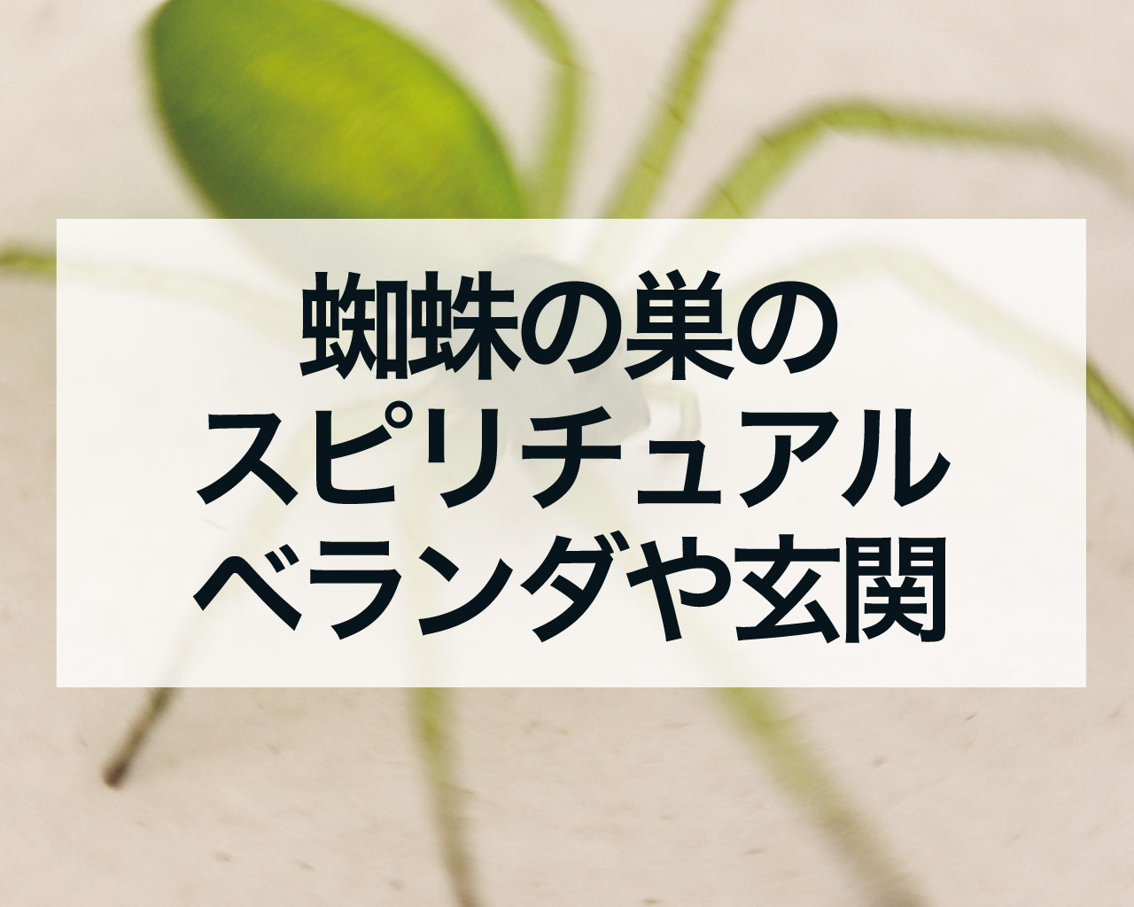蜘蛛の巣のスピリチュアル、ベランダに蜘蛛の巣や玄関に蜘蛛の巣ができた意味